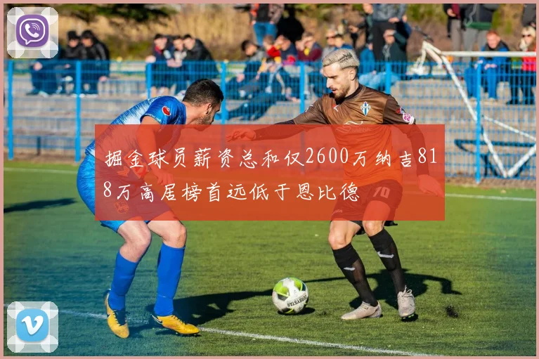 掘金球员薪资总和仅2600万纳吉818万高居榜首远低于恩比德